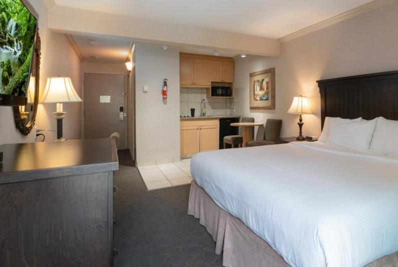 Prestige Inn Нельсон Экстерьер фото